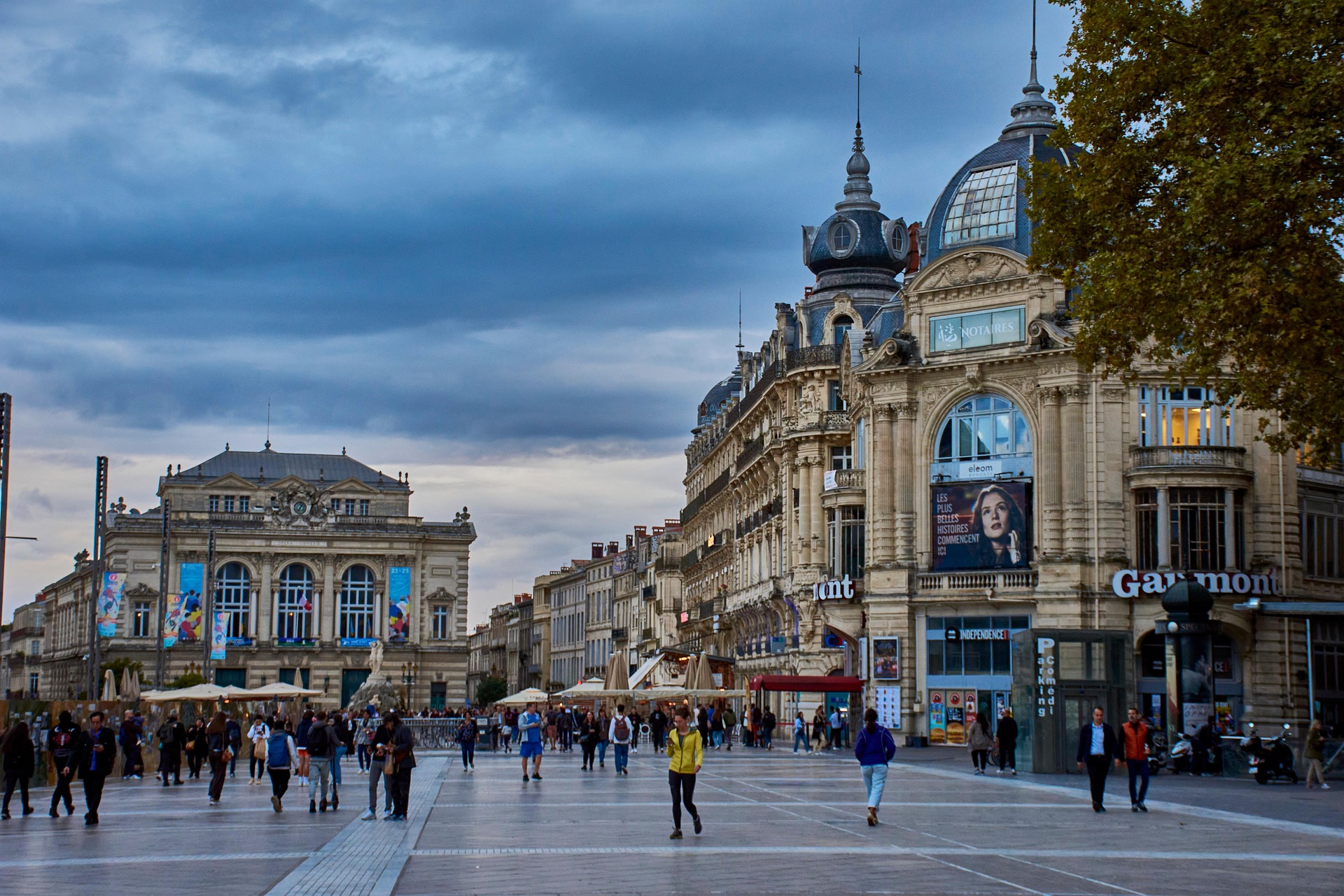 Quel est le meilleur promoteur immobilier neuf à Montpellier ?